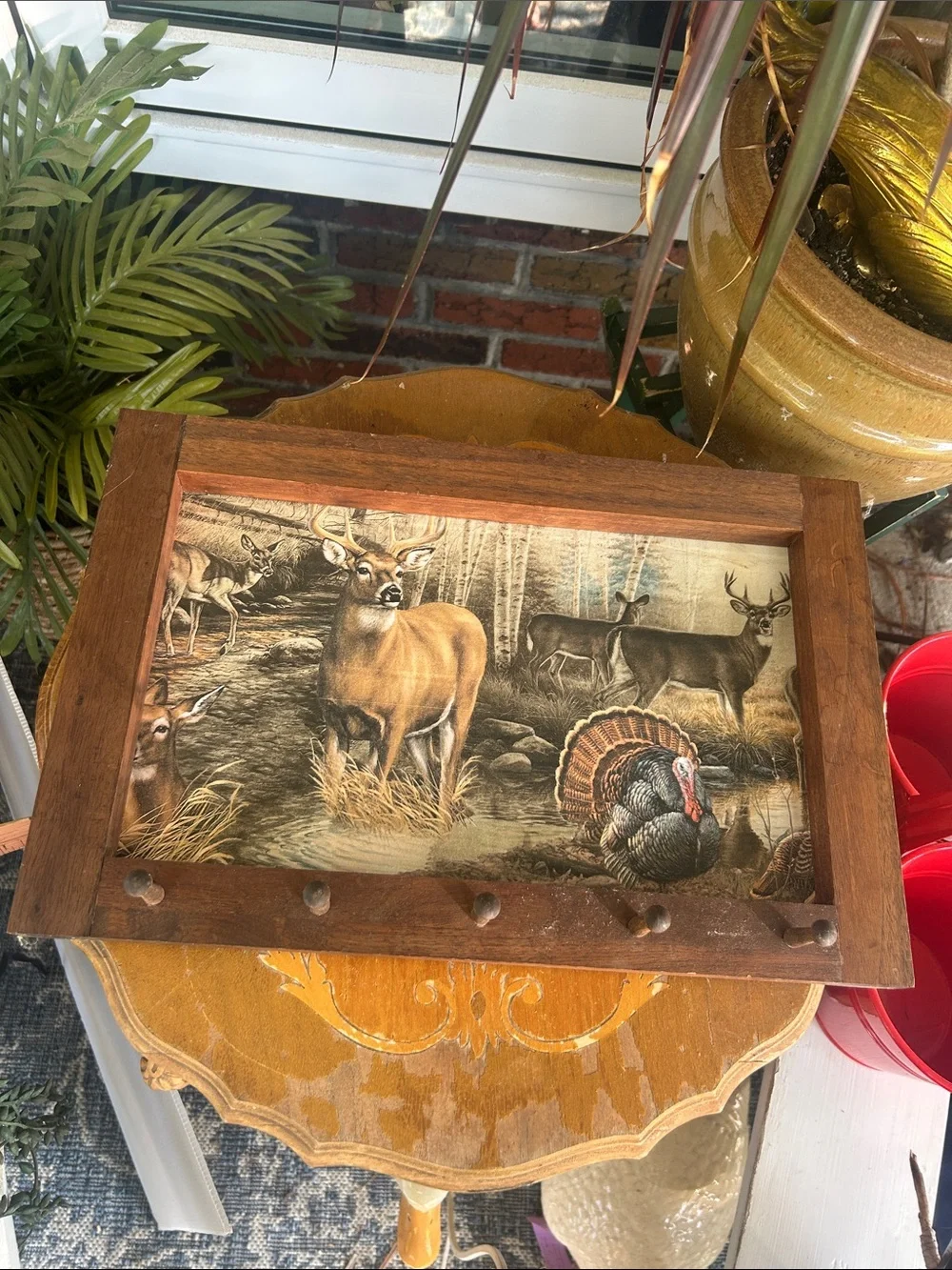 Vintage Framed Wildlife Wall Art with Pegs